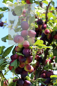 信用卡逾期說執(zhí)行上門？如何應(yīng)對(duì)？